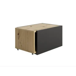 Table Basse Couleur Chêne Noir SLIDE