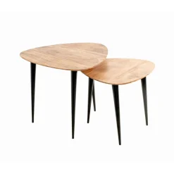 Table d’appoint en tube d'acier laqué noir plateau en bois massif