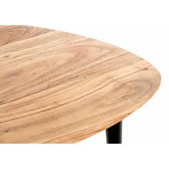 Table d’appoint en tube d'acier laqué noir plateau en bois massif