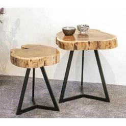 Table d'appoint plateau rondelle d'arbre modèle mini