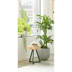 Table d'appoint plateau rondelle d'arbre modèle mini