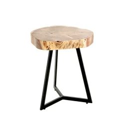 Table d'appoint plateau rondelle d'arbre modèle maxi