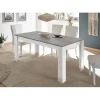Table de repas180cm bicolore