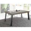 Table fixe PALMA avec pieds en fer Bronce gris