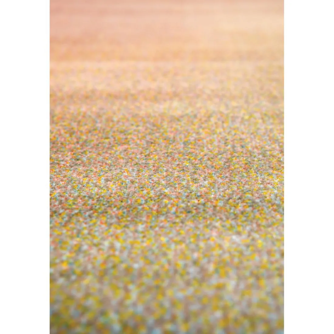 Tapis Caro Multicolore 160 x 230