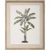 Toile Imprimé et Cadre et Foile Arbre bananier 40 x 50