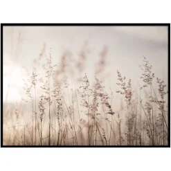 Toile imprimée Bianca 50x70cm Tiges de Fleurs