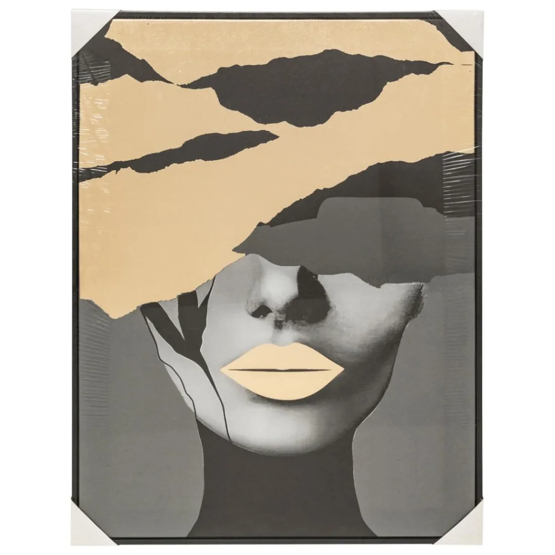 Toile imprimée encadrée Anaelle