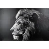 Toile imprimée Lion 78X118