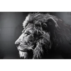 Toile imprimée Lion 78X118