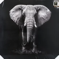 Toile imprimée éléphant 100X100 Noir
